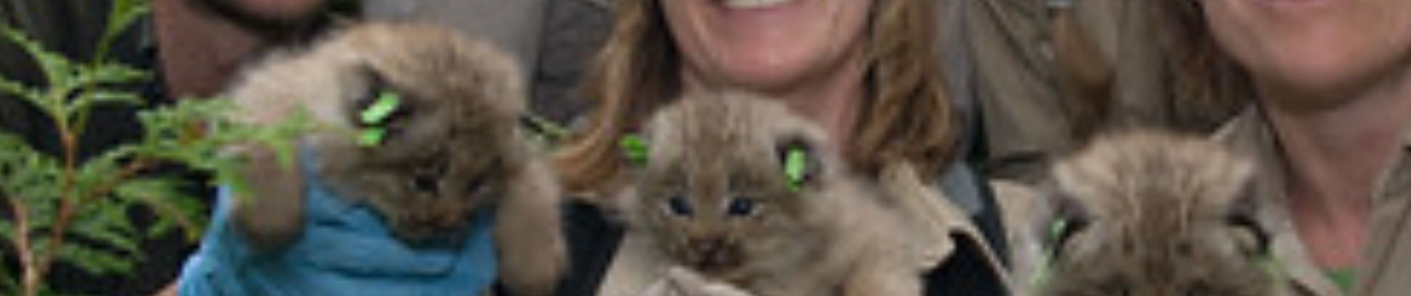 It's the question that everyone wishes an employer wouldn't ask, but it's the one everyone is most curious about. Life happens, you just need to learn how to shine up the potholes.