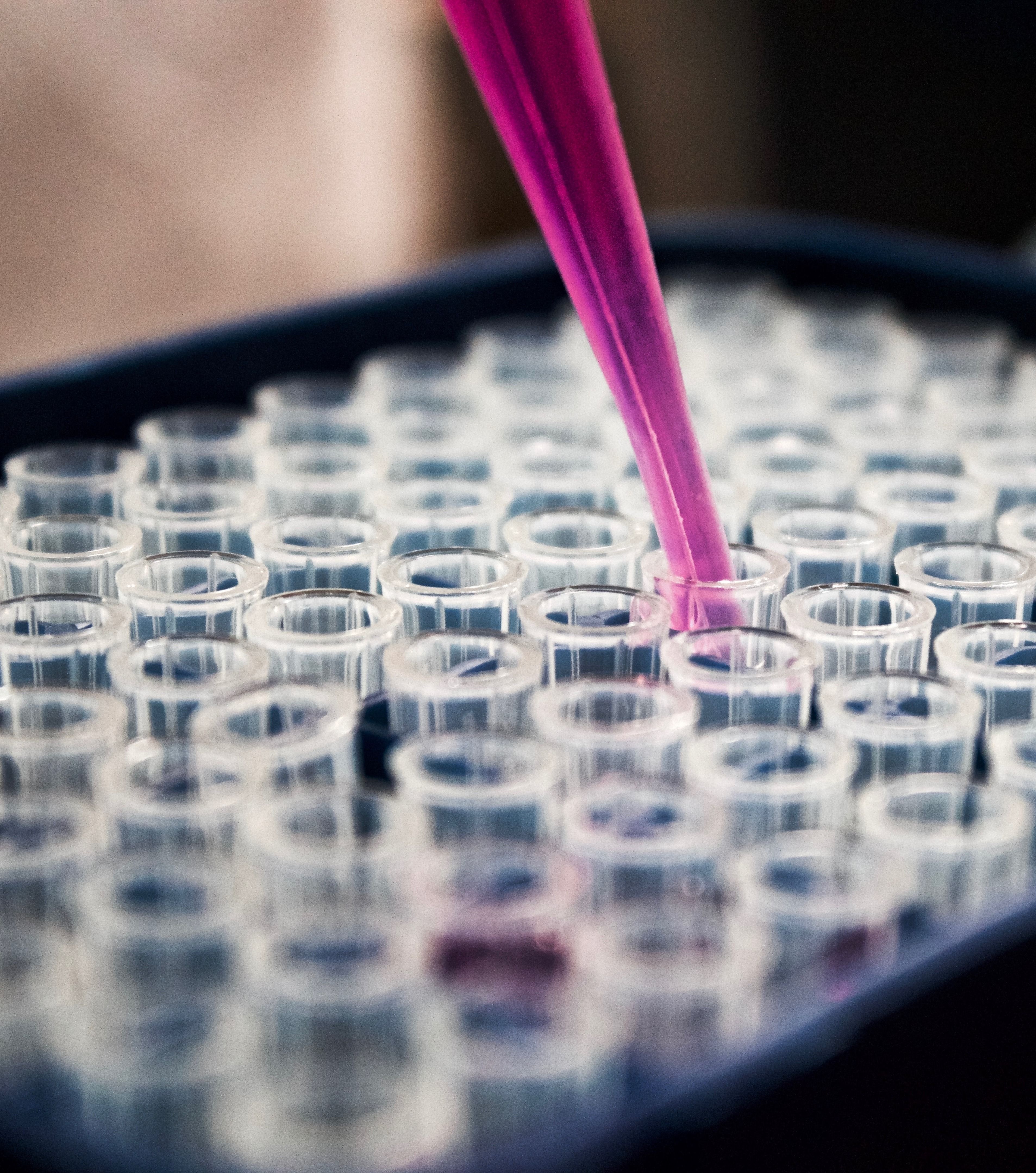 Learn How AIChE Career Discovery Can Benefit You