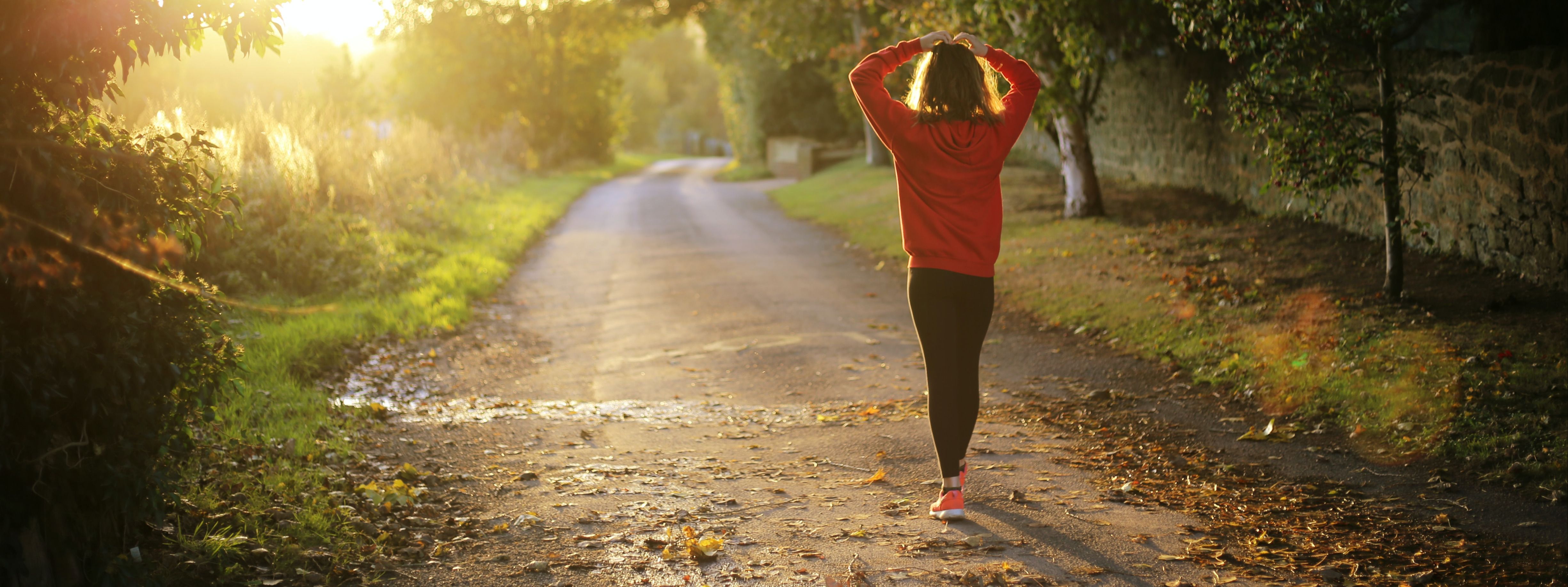 SGO Wellness Curriculum