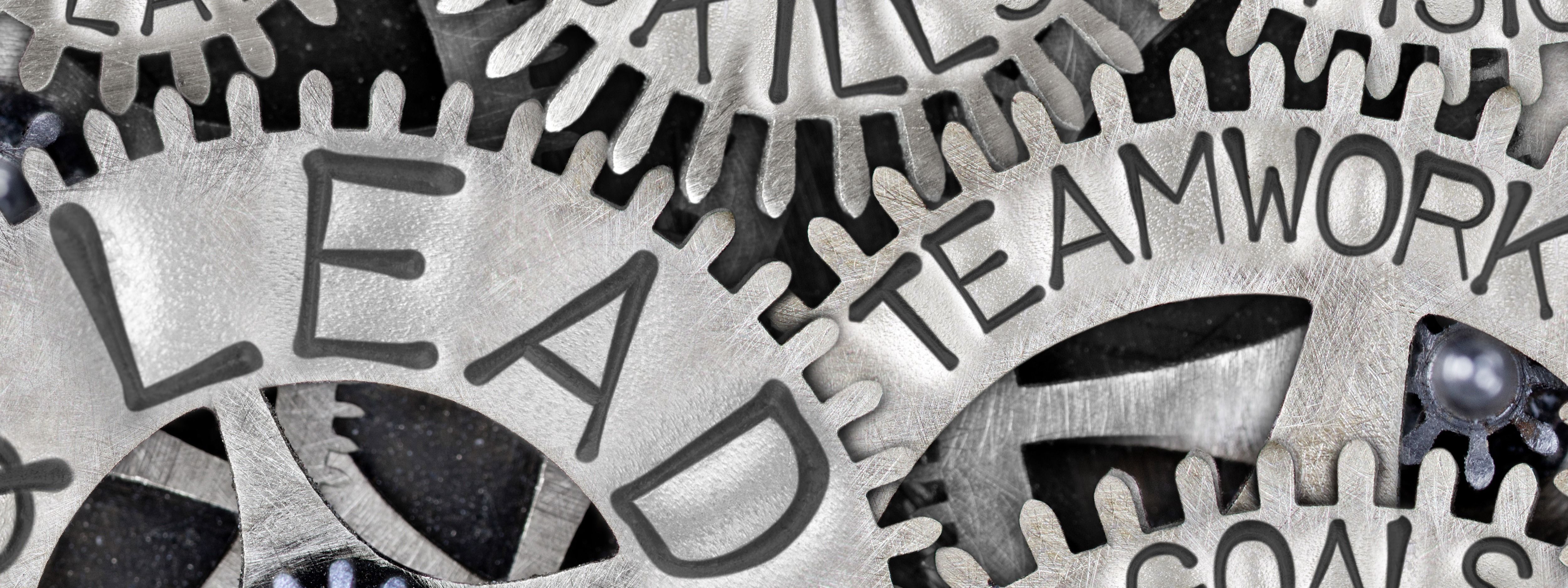 Leveraging and Maximizing Leadership Opportunities