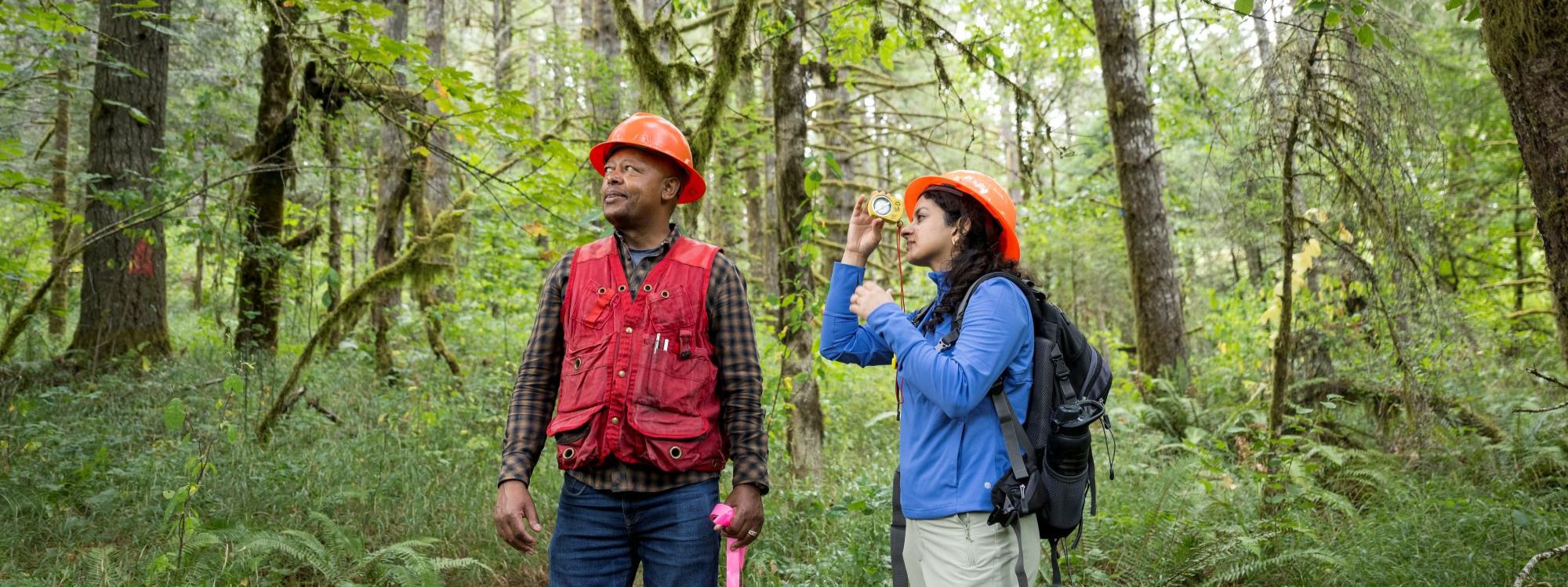 Non-Federal Career Pathways into Forestry