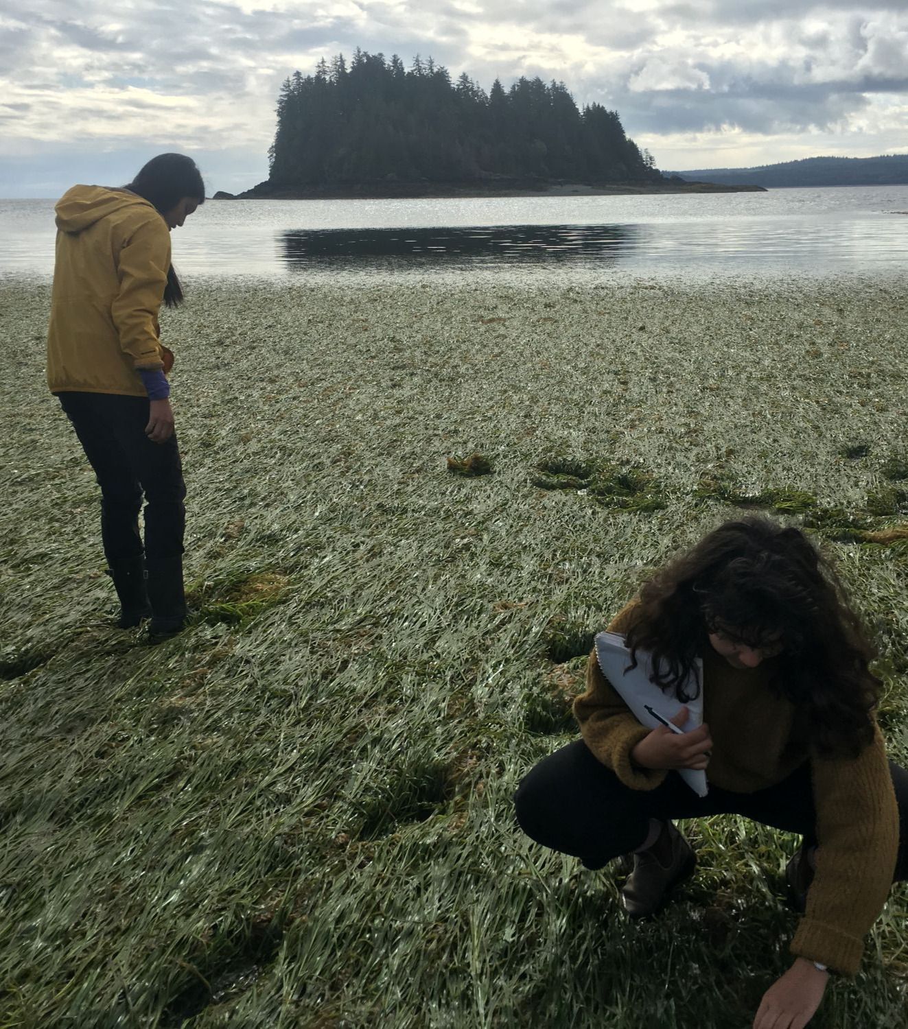 Understanding Private Sector Work Culture in Forestry