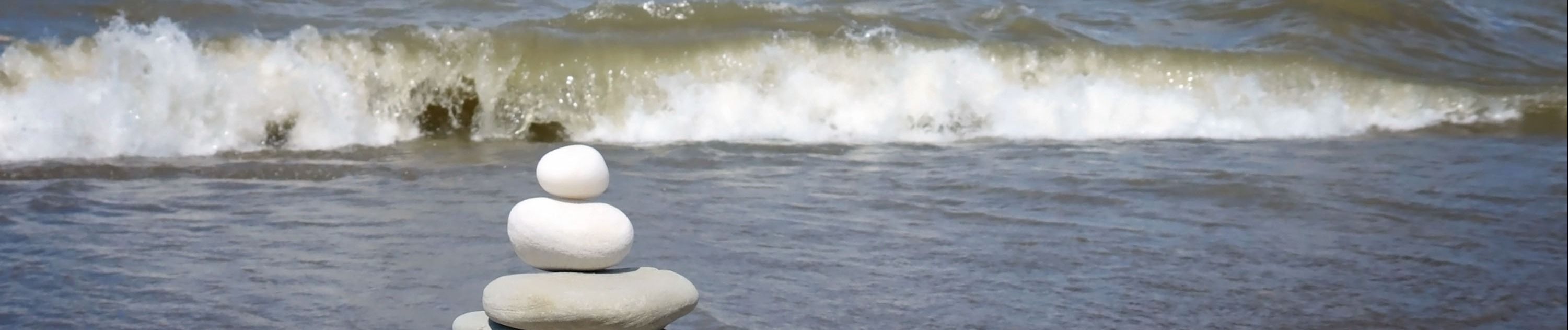 Have you ever been stuck in a challenging situation, where you needed the insights of &ldquo;trusted counselor or guide&rdquo;? This article lays out a case study in mentorship that reviews 5 principles for successful mentoring relationships.