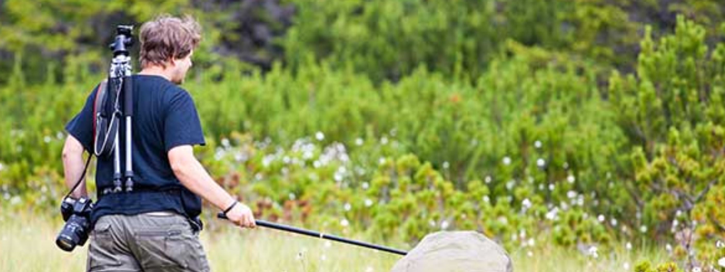 How to Answer Why You Got Fired.