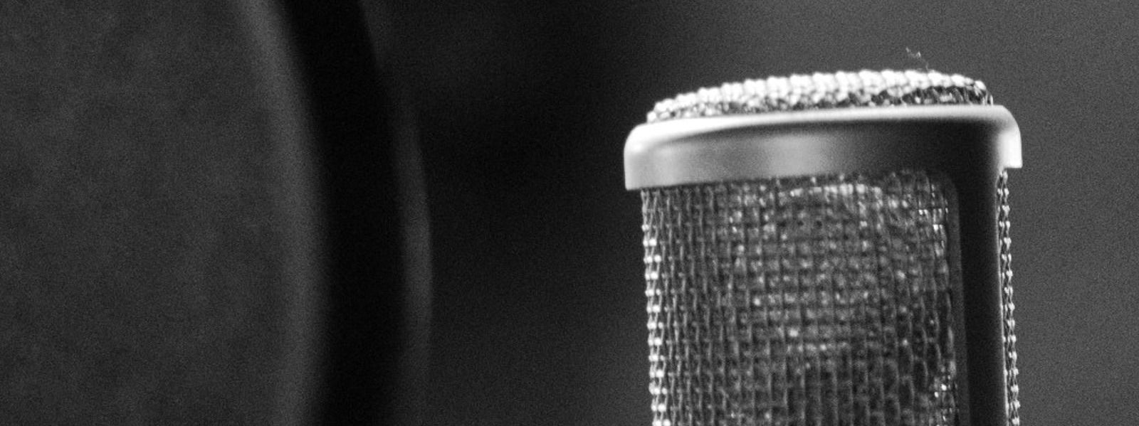 How early-career public radio journalists learn to shape their on-air voices