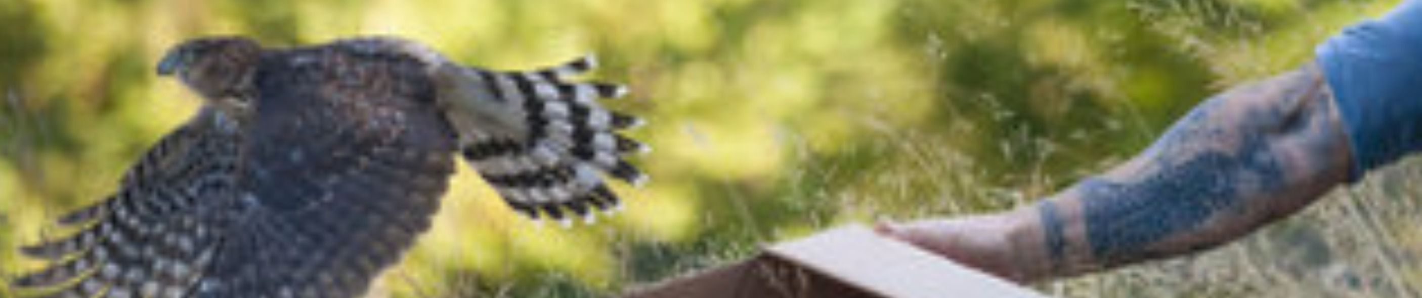 Come across as more confident in the way you convey yourself during an interview.