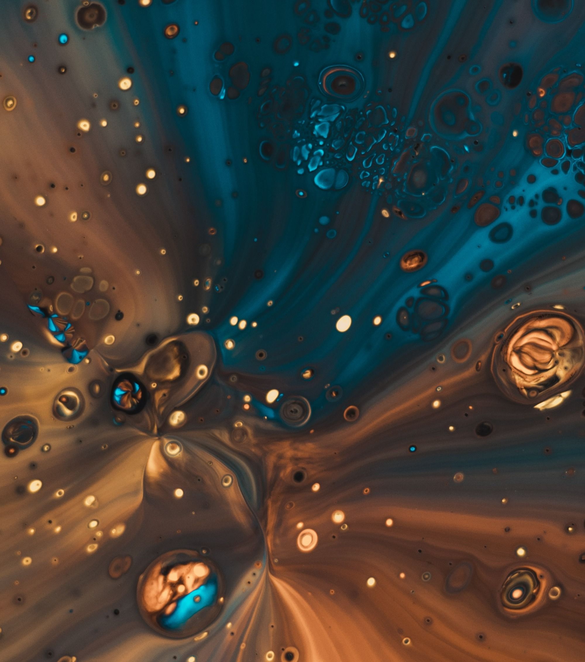 Career Paths in Materials Science and Engineering