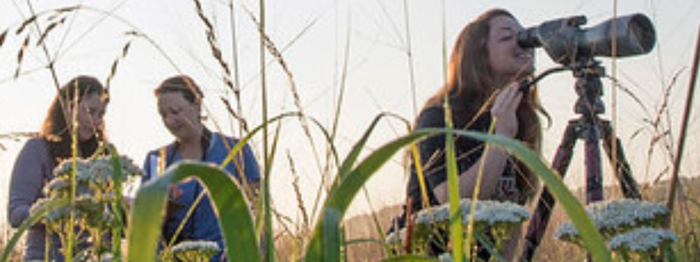 Three Unexpected Items You Can Add To Your Resume