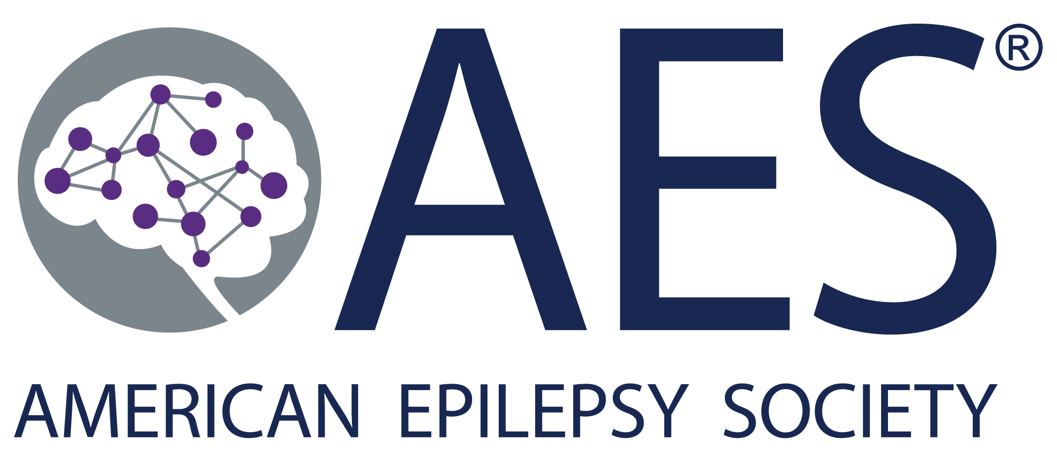 American Epilepsy Society