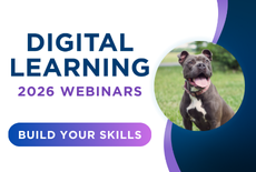 Digital Learning
