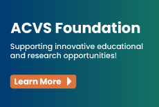 ACVS Foundation