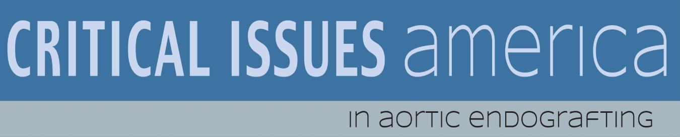 Critical Issues America Career Center